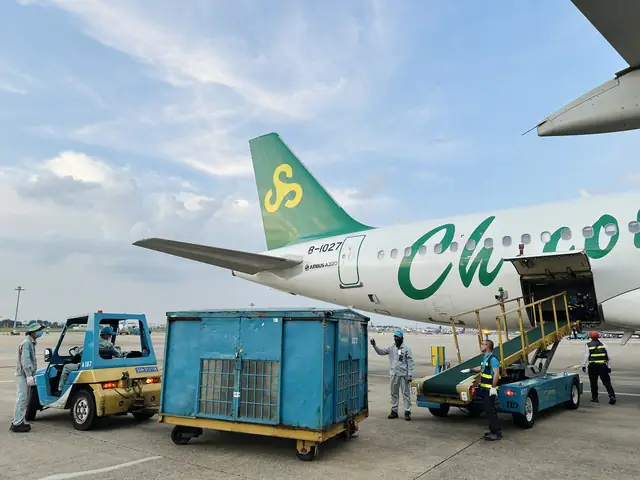 Hãng Máy Bay Mới Tại Việt Nam