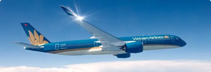 Vietnam Airlines: Chất Lượng Dịch Vụ 4 Sao & Độ Tin Cậy Vượt Trội