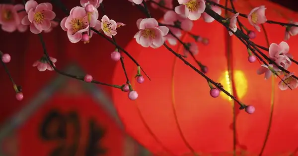 Góc Nhìn: Nên Gọi Tết Trong Tiếng Anh Là Gì - Chinese New Year, Hay ... Góc Nhìn: Nên Gọi Tết Trong Tiếng Anh Là Gì - Chinese New Year, Hay ...