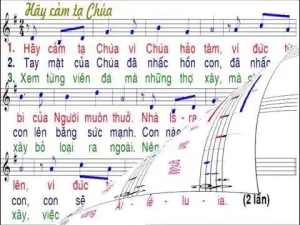 Hãy Cảm Tạ Chúa Vì Chúa Hảo Tâm: Ý Nghĩa Sâu Sắc Và Cách Thể Hiện Lòng Biết Ơn Trong Đời Sống