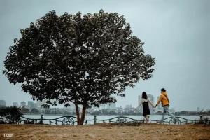 Hình Ảnh Cho Hình Ảnh Hoàng Hôn Hồ Tây: