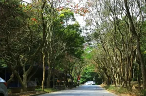 Du Khách Từ Tp Thanh Hóa Chỉ Mất Hơn 30 Phút Để Đến Đến Với Hòn Trống Mái Nằm Trên Đỉnh Núi Trường Lệ, Thành Phố Sầm Sơn Ảnh: Đặng Trung
