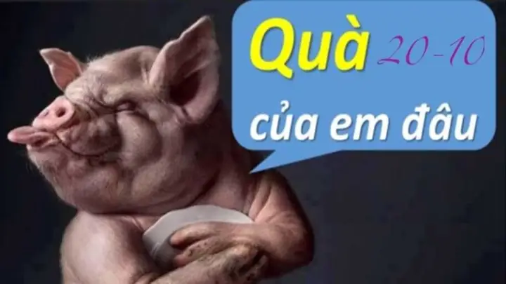 Hình Ảnh 20/10 Chúc Mừng Hài Hước