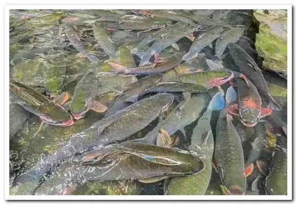 Thời Điểm Tham Quan Lý Tưởng