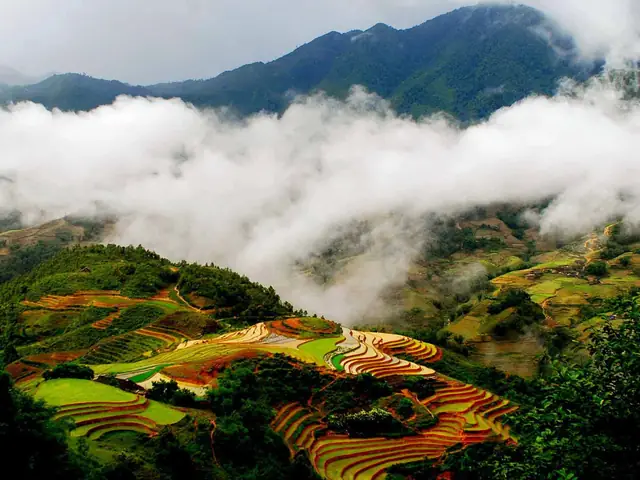 Hình Ảnh Cho Hình Ảnh Thiên Nhiên Đẹp Nhất Việt Nam: