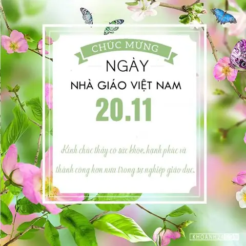 Làm Thế Nào Để Lựa Chọn Một Lẵng Hoa Chúc Mừng Ngày 20/11 Thật Đẹp Và Ý Nghĩa?