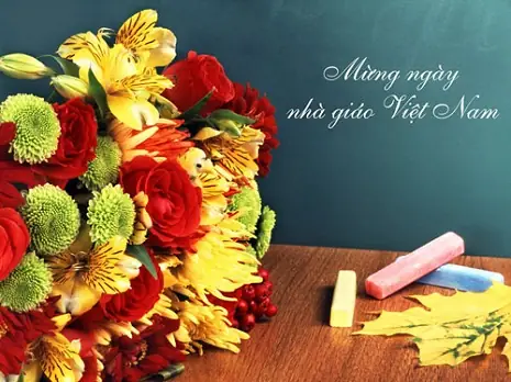 Làm Thế Nào Để Lựa Chọn Một Lẵng Hoa Chúc Mừng Ngày 20/11 Thật Đẹp Và Ý Nghĩa?