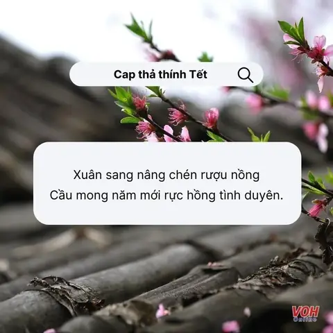 Stt Tết Hài Hước Thả Thính: Tuyển Tập Caption Cực Chất Để Cưa Đổ Crush