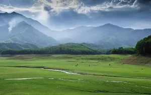 Hồ Hòa Trung Đà Nẵng – Điểm Cắm Trại Sống Ảo Với Đồng Cỏ Xanh Đẹp