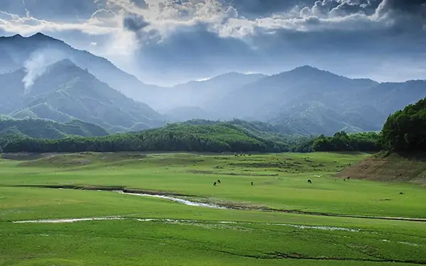 Hồ Hòa Trung Đà Nẵng – Điểm Cắm Trại Sống Ảo Với Đồng Cỏ Xanh Đẹp