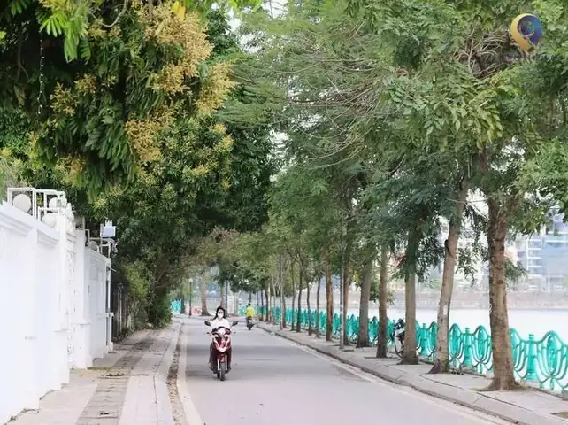 Hồ Quảng Bá Tây Hồ Hà Nội: Bức Tranh Thiên Nhiên Trong Lòng Thủ Đô Hồ Quảng Bá Tây Hồ Hà Nội: Bức Tranh Thiên Nhiên Trong Lòng Thủ Đô