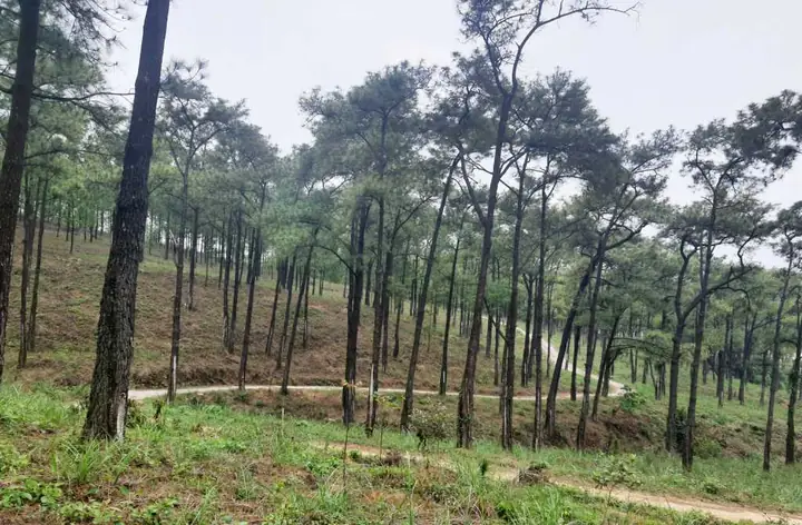 Quảng Ninh: Uông Bí Đổi Hướng Phát Triển Khu Du Lịch Hồ Yên Trung ...