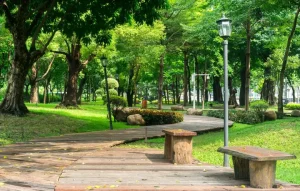 Top 9 Largest Parks In Ho Chi Minh City | Visithcmc.vn