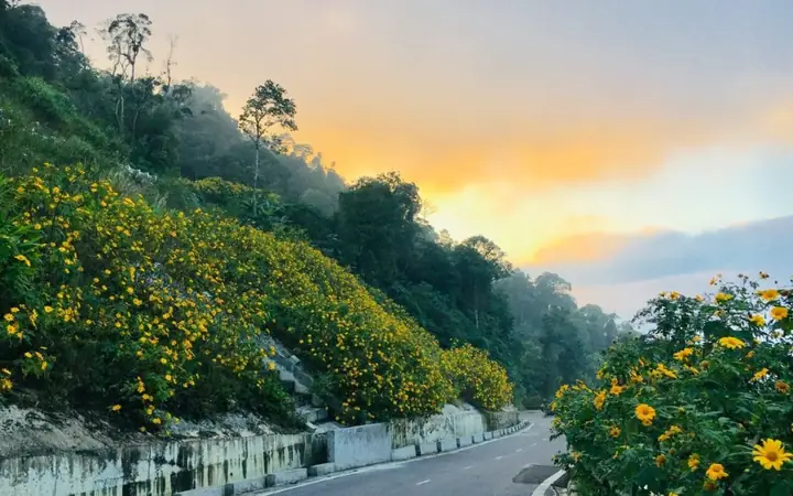 Cung Đường Quốc Lộ 20