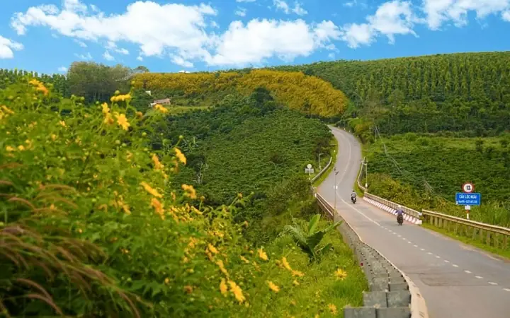 Cầu Đan Mạch Lộc Ngãi Bảo Lâm
