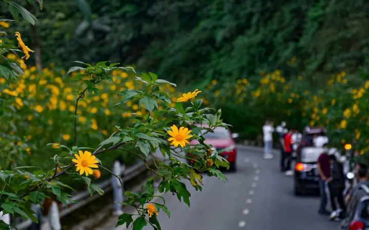 Cung Đường Từ Thác Bảo Lộc Đến Kdl Thác Dambri