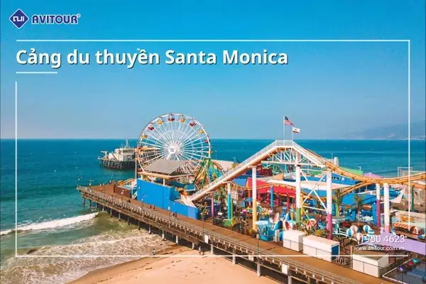 Hoa Trinh Nữ Nở Vào Mùa Nào? Thời Điểm Vàng Để Chiêm Ngưỡng