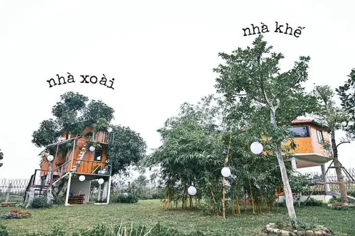 Okia Treehouse | Homestay Hà Nội Có Bể Bơi
