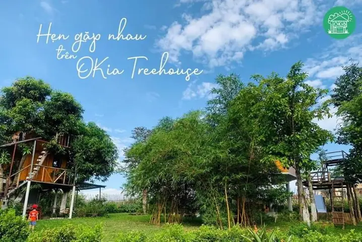 Okia Treehouse | Homestay Hà Nội Có Bể Bơi