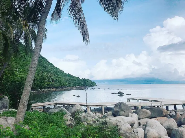 Giới Thiệu Đôi Nét Về Hòn Tre