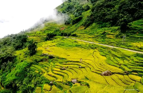 How Long Is The Ha Giang Loop? Complete Guide To Distance, Duration & Itinerary