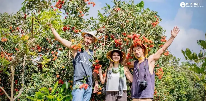 Fruit Orchards