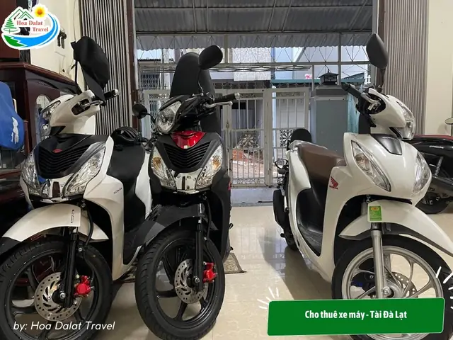 Cho Thuê Xe Máy – Tài Đà Lạt