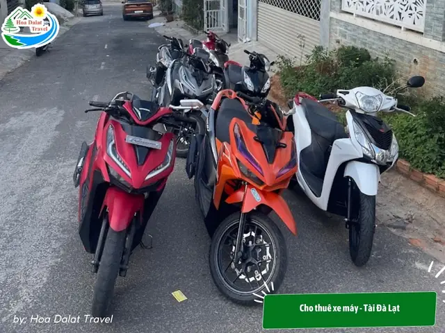 Cho Thuê Xe Máy – Tài Đà Lạt
