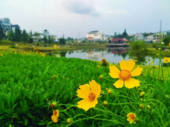 Lên Lịchdu Lịch Bảo Lộc