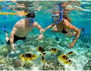 Những Khách Sạn, Homestay, Nhà Nghỉ,... Ở Cù Lao Chàm