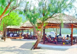 Khách Sạn Ở Thị Xã Ninh Hòa: Top 10 Địa Chỉ Lưu Trú Giá Tốt, Dịch Vụ Uy Tín