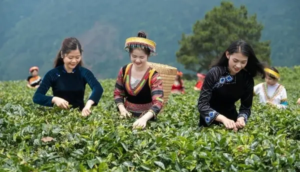 Phát Triển Du Lịch Bền Vững Ở Việt Nam