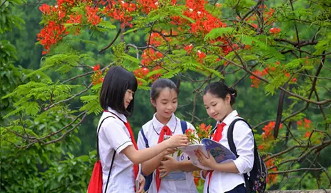 Lịch Nghỉ Hè Năm Học 2024-2025 Của Học Sinh Cả Nước