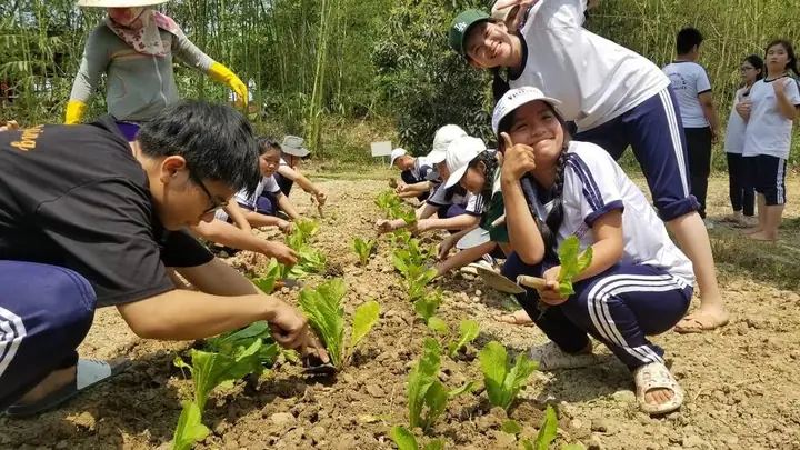 Trải Nghiệm Làm Nông Dân: Trồng Rau, Bắt Cá…