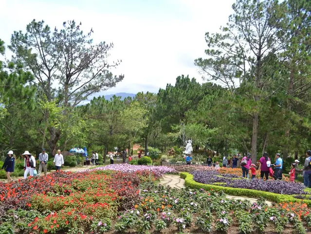 Những Điểm Tham Quan, Vui Chơi Trong Đồi Mộng Mơ