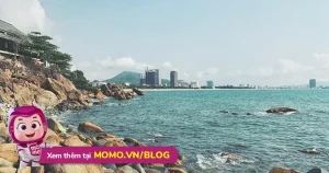Ghé Quy Nhơn Thăm Mộ Hàn Mặc Tử - Người Con Tài Hoa Nhưng Bạc ...