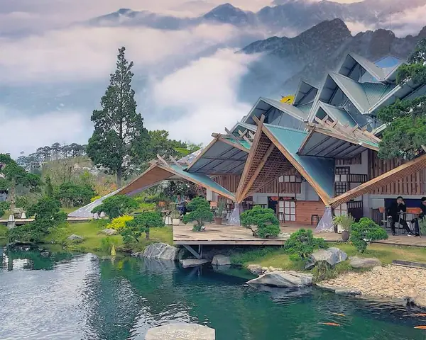 Rừng Lá Phong Đà Lạt Thơ Mộng Của Thành Phố Sương Mù Rừng Lá Phong Đà Lạt Thơ Mộng Của Thành Phố Sương Mù