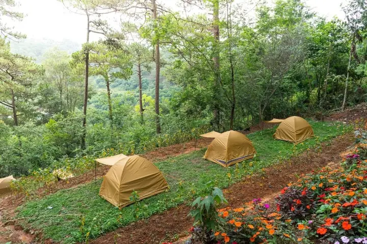 Cắm Trại Ở Khu Du Lịch Rừng Lá Phong Đà Lạt Cắm Trại Ở Khu Du Lịch Rừng Lá Phong Đà Lạt