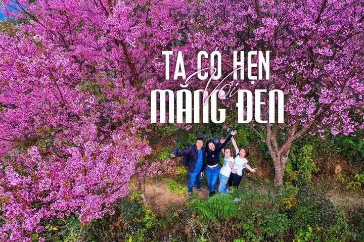 Cảnh Sắc Thiên Nhiên Hoang Sơ Và Mùa Hoa Mimosa Cảnh Sắc Thiên Nhiên Hoang Sơ Và Mùa Hoa Mimosa