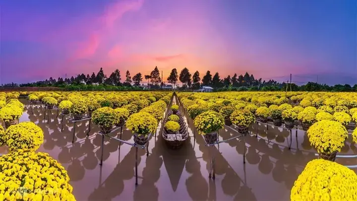 Làng Hoa Sa Đéc Độc Nhất Vô Nhị Làng Hoa Sa Đéc Độc Nhất Vô Nhị