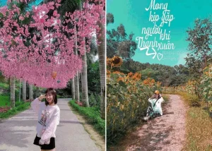 Bỏ Túi Chi Tiết Kinh Nghiệm Đi Khu Du Lịch Sinh Thái Núi Ngăm, Nam Định