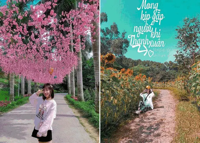 Bỏ Túi Chi Tiết Kinh Nghiệm Đi Khu Du Lịch Sinh Thái Núi Ngăm, Nam Định