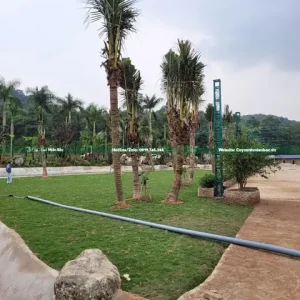 Quá Trình Thực Hiện Dự Án