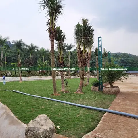 Quá Trình Thực Hiện Dự Án