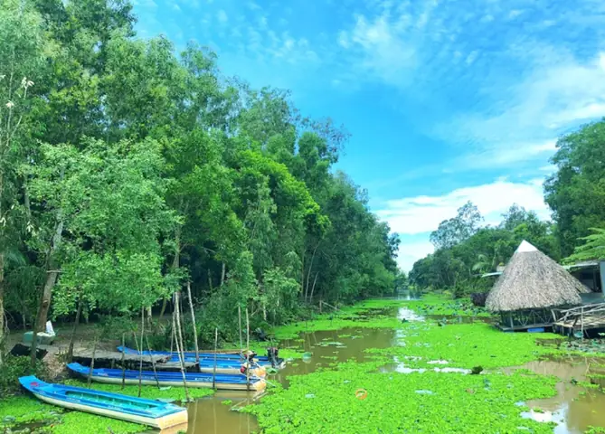 Thời Điểm Lý Tưởng Đi Khu Sinh Thái Tây Đô