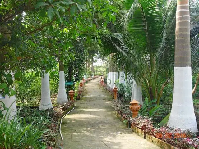 Giới Thiệu Về Khu Du Lịch Dã Ngoại Vườn Thiên Thanh