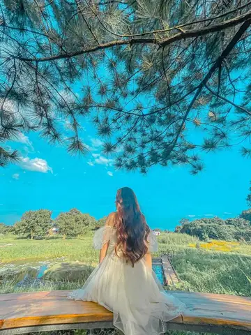 Bỏ Túi Kinh Nghiệm Vui Chơi, Chụp Ảnh Bãi Đá Sông Hồng