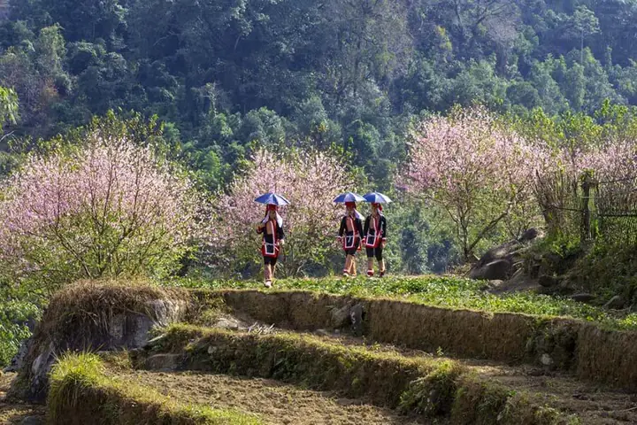Bình Liêu Mùa Xuân Lễ Hội (tháng 1,2,3)