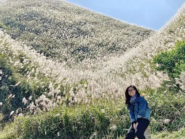 Bình Liêu Mùa Hoa Cỏ Lau (mùa Thu Tháng 10, 11)
