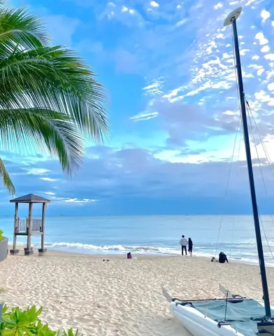 Bãi Biển Hải Hoa Đảo Bãi Biển Hải Hoa Đảo